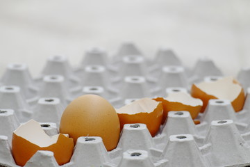Close up the last egg placed near Eggshell on egg tray