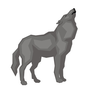 The big grey wolf.  Vector image of a predatory animal. Isolated on a white background.