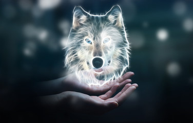 Naklejka premium Person holding fractal endangered wolf illustration 3D rendering