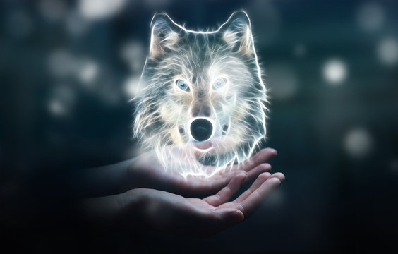 Fototapeta Person holding fractal endangered wolf illustration 3D rendering