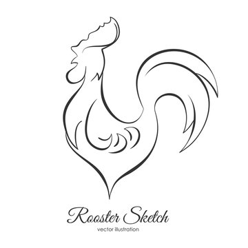 Vector illustration: Hand drawn line Rooster Cock for New 2017 Year design. Sketch outline style. 