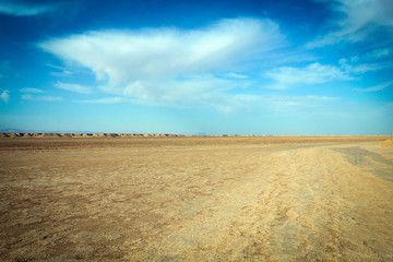 Fototapeta na wymiar Sahara desert landscapes in Tunisia