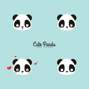 Cute panda faces
