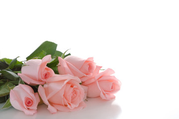 Roses to wedding day.