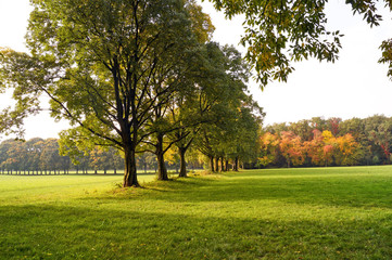 Panorama autunnale nel Parco di Monza