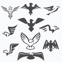 set of eagle symbols for logo design