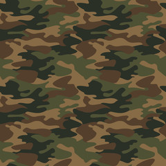 Vecteur transparente de fond camouflage