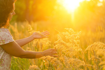 Adult brunette woman in a dres touches the golden grasses on the meadow in the sunlight