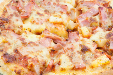 Delicious pizza with cheese.