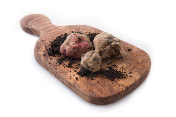 Alba white truffle