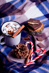 Hot cocoa with marshmallows with spices on the cozy blanket. Coffee, cocoa, chocolate, cinnamon, candy cane, cone, star anise, Winter Concept, Christmas mood, Cozy Time
