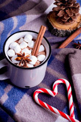 Hot cocoa with marshmallows with spices on the cozy blanket. Coffee, cocoa, chocolate, cinnamon, candy cane, cone, star anise, Winter Concept, Christmas mood, Cozy Time