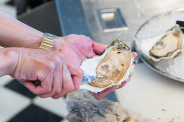 Opened Oysters
