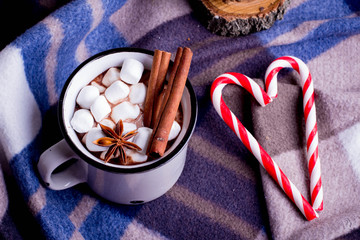 Hot cocoa with marshmallows with spices on the cozy blanket. Coffee, cocoa, chocolate, cinnamon, candy cane, cone, star anise, Winter Concept, Christmas mood, Cozy Time