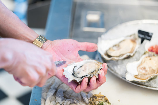 Shucking Fresh Oysters With A Knife
