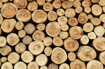 Details of the nature for background