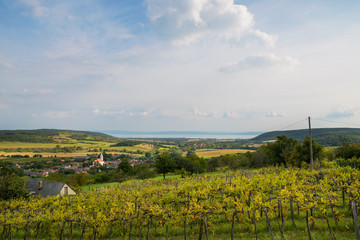Fototapeta na wymiar Balaton and Nivegy valley wine region, Hungary