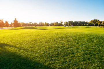 Green grass and sky. People on meadow. Perfect place to rest. Sunny summer day.