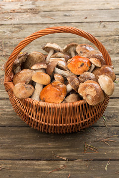 Harvesting Mushrooms. Forest Edible Mushrooms Leccinum Scabrum In Wicker Basket On Old Wooden Table Top View. Forest Edible Mushrooms In Basket.