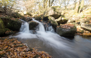 Fototapeta na wymiar Dartmoor Park, Devon, England