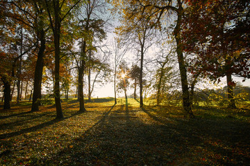 Sunny autumn park