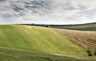 the green hills of the harvest in Ukraine