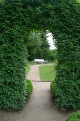 Durchgang Buchenhecke