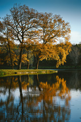 Fototapeta na wymiar Autumn lake in park