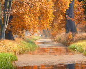 Obraz na płótnie Canvas wunderschöner letzter Herbsttag im Park am See