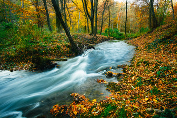 Autumn flowing stream