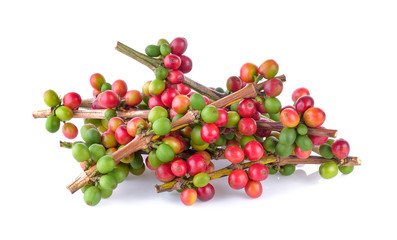 ripe coffee beans on white background