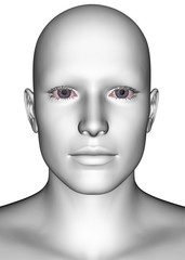 White Human Face - 3D