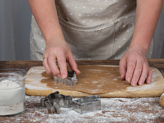 Fototapeta na wymiar Woman's hands preparing dough for gingerbread cookie