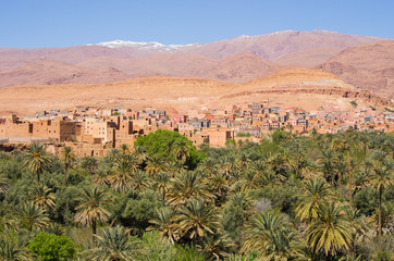 Fototapeta na wymiar Green oasis in Morocco