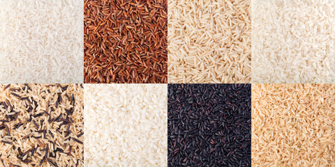 Fototapeta premium Natural rice Background