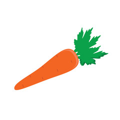 Carrot vector icon