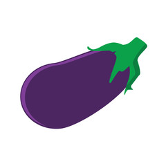 Fresh vegetable eggplant