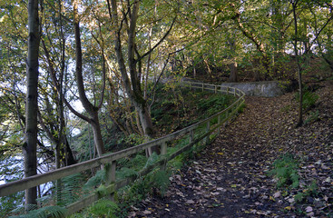 Woodland walk, Donmouth Nature Reserve, Aberdeen, Scotland