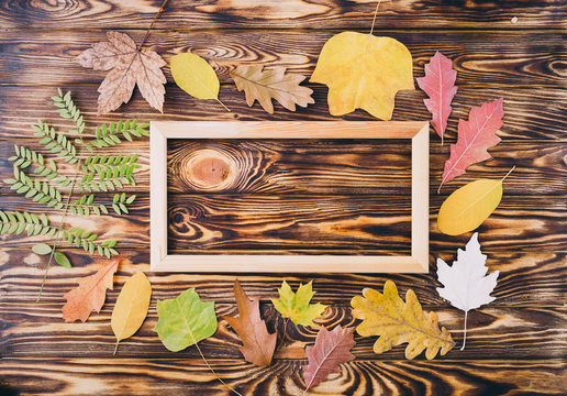 Composition with autumn leaves and picture frame. Flat lay, copy space.