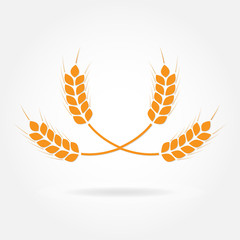 Wheat ears or rice icon. Agricultural symbol isolated on white background. Design element for bread packaging or beer label. Vector illustration.
