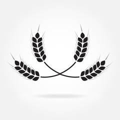 Wheat ears or rice icon. Agricultural symbol isolated on white background. Design element for bread packaging or beer label. Vector illustration.