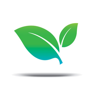 Vegan Logo fresh green leaf on a white background