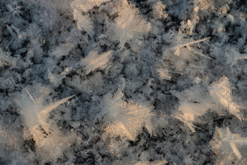 Fototapeta na wymiar a picture of frost on a frozen lake, snow crystals, ice crystals