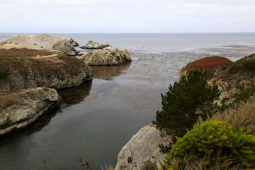 Point Lobos