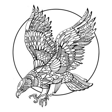 Eagle bird coloring book for adults vector