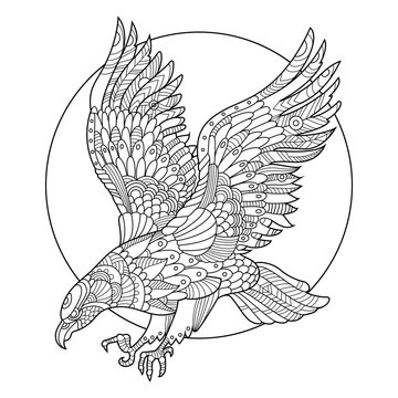 Eagle bird coloring book for adults vector