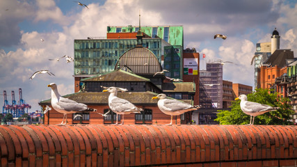 Hamburg - Germany