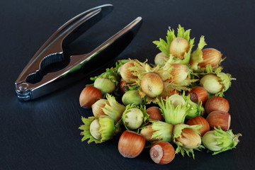 handful of hazelnuts