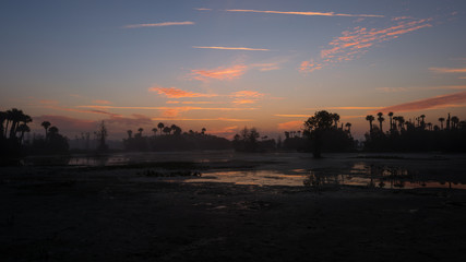 Fototapeta premium Orlando Wetlands Park Panorama