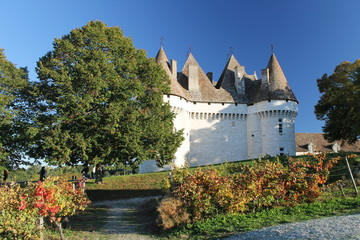 Vigne Chateau montbazillac-Dordogne